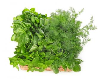 Wicker box with fresh herbs on white background�