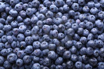 Fresh ripe blueberries as background�