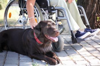 Senior woman in wheelchair and her dog outdoors�