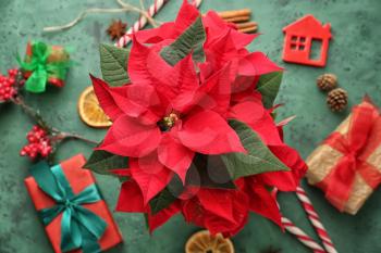 Christmas flower poinsettia with gift boxes and decorations on color table�