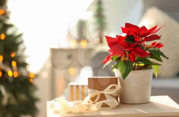 Christmas flower poinsettia with gift boxes on light table�