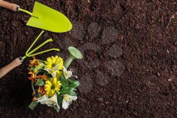 Gardening tools with flowers in watering can on soil�