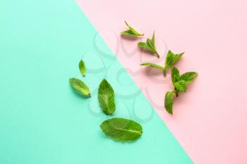 Fresh mint leaves on color background�