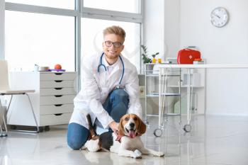 Veterinarian with cute dog in clinic�