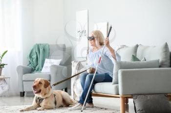 Blind mature woman with guide dog at home�