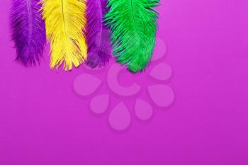 Colorful feathers on color background�