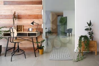 Stylish interior of studio apartment with green houseplants�