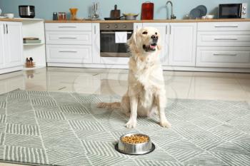Cute dog near bowl with food in kitchen�