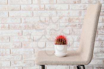 Cactus on chair near brick wall. Hemorrhoids concept�