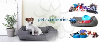 Advertisement banner for pet accessories with cute dog�