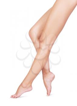 Royalty Free Photo of a Woman's Legs