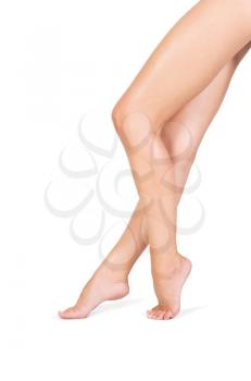 Royalty Free Photo of a Woman's Legs

