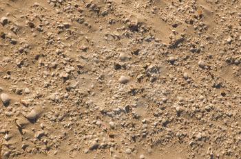 Sand dune texture  with many small sea shells 
