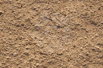 Sand dune texture  with many small sea shells 
