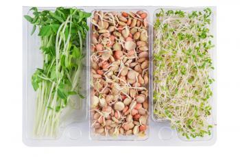 gourmet pack of alfalfa,snow peas and lentils isolated on white