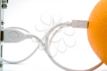 Royalty Free Photo of a USB Cord Plugged Into a Cable