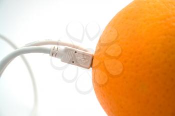 Royalty Free Photo of a USB Plugging in to an Orange