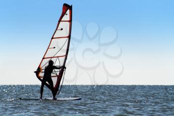 Royalty Free Photo of a Windsurfer