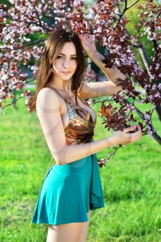 Slim sexy woman in frank dress posing near blooming tree