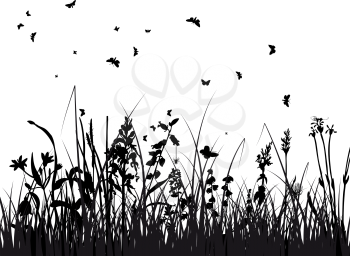 Vector grass silhouettes background. All objects are separated.