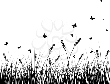 Vector grass silhouettes background. All objects are separated.