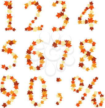 Autumn maples leaves numeral set. Vector illustration.