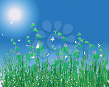 Vector grass silhouettes background. All objects are separated.