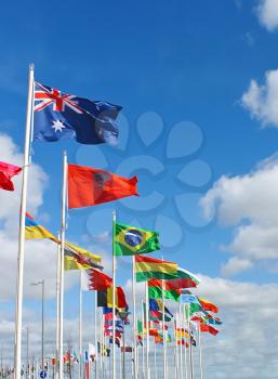 International flags on  waterfront of Rotterdam. Netherlands.