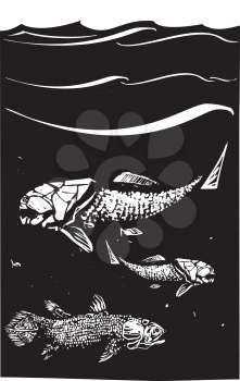 Woodcut style image of a Dunkleosteus an armored ancient fossil fish and Coelacanth swimming in the ocean