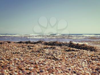 marine shelly beach in summer sunlight