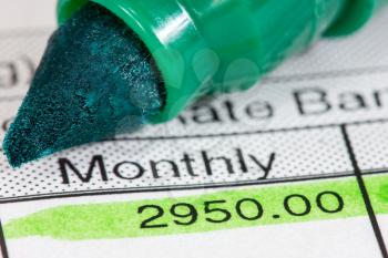 Green marker and  payslip with monthly wage