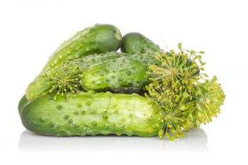 Fresh cucumbers with fennel on a white background 