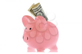 Piggy bank with one dollar, isolated on white background