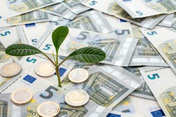 Investment concept. Plant growing from euro currency.