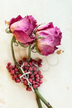 Two dried roses and rosary on old paper background