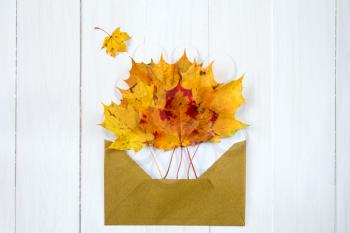 Colorful autumn leaves and open envelop on white wooden background