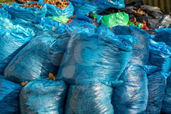 Blue plastic bags with collected fallen  leaves in a city park in the fall. Cleaning fallen leaves in the autumn park in bags. Caring for the city and the environment.