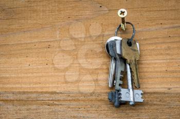 Bunch of keys hanging on the wooden wall