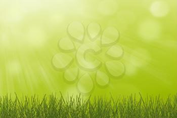 Green spring background with young grass