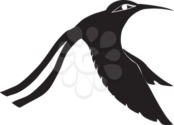 silhouette of colibri