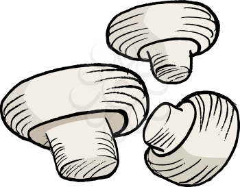hand drawn, vector illustration of the champignons