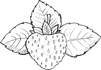 Hand drawn, vector, cartoon illustration of strawberry