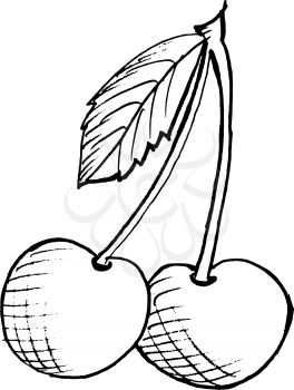 Hand drawn, vector, cartoon illustration of cherry