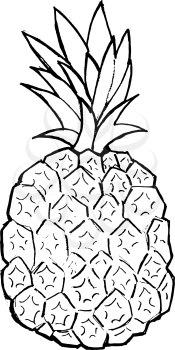 Hand drawn, vector, cartoon illustration of pineapple