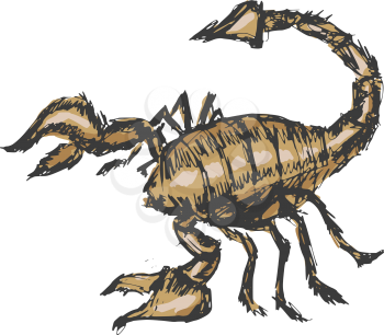 hand drawn, cartoon, sketch illustration of scorpion