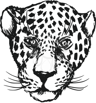 hand drawn, sketch, cartoon illustration of jaguar