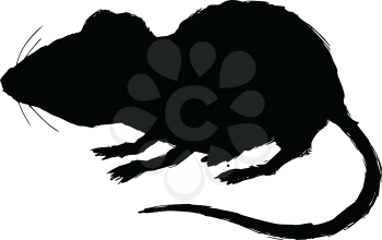 black silhouette of house mouse
