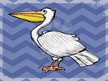 stylish, vintage, grunge background with pelican