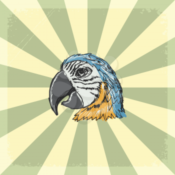 vintage, grunge background with parrot