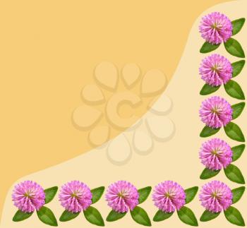Frame of flowers and green leaves of clover isolated on yellow background